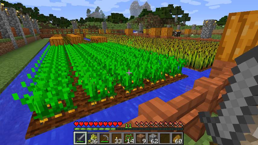 村を発見し希少価値の人参とジャガイモを入手し栽培を始めました マイクラ初プレイ9日目 蟹帝国 Minecraft マイクラ