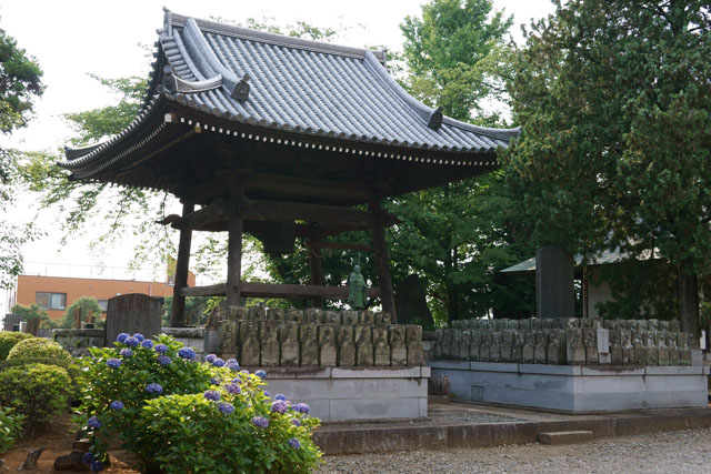 本堂と鐘楼の資料集めに寺院へ