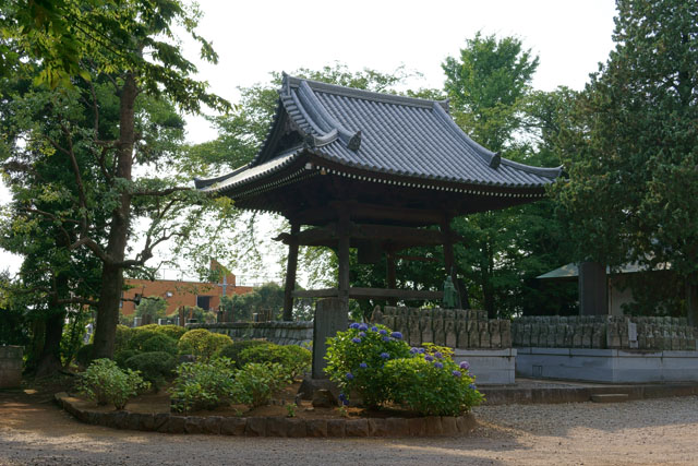 本堂と鐘楼の資料集めに寺院へ