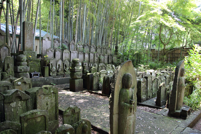 菖蒲園巡り