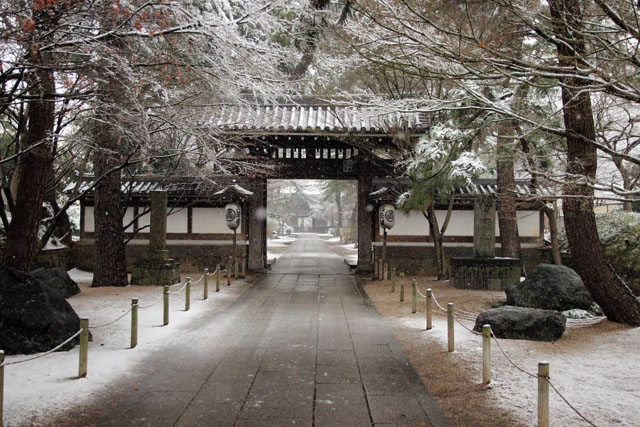 雪の中撮影に行く