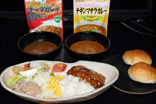 100円カレーシリーズ