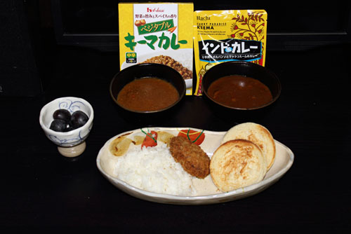 100円カレーシリーズ