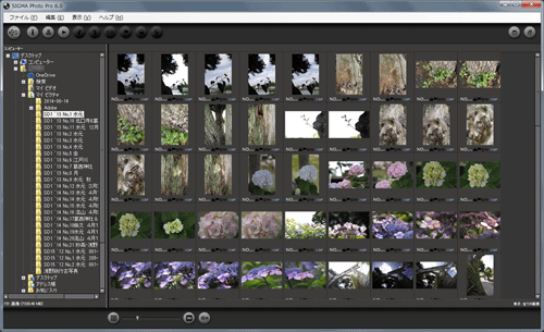 SIGMA Photo Pro 6.0動作確認