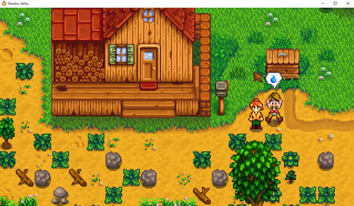 STARDEW VALLEY