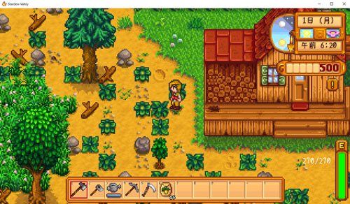 STARDEW VALLEY