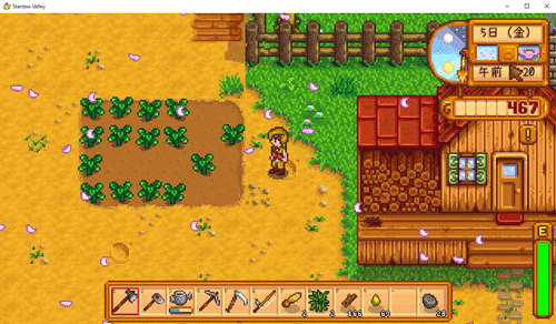 STARDEW VALLEY