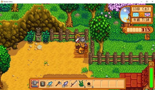 STARDEW VALLEY